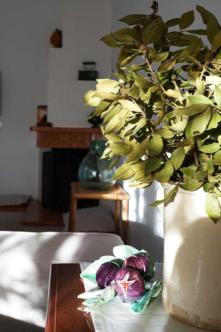 Villa Gioia Ostuni Εξωτερικό φωτογραφία